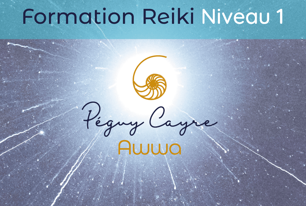 Formation Reiki 1er degré : Vendredi 3 et 24 juin – Toulouse