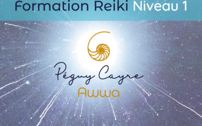 Formation Reiki 1er degré : Vendredi 3 et 24 juin – Toulouse